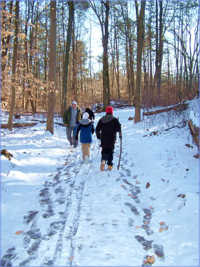 Winter walk at Astor Residential Treatment programs